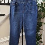 Terra & Sky  Jeans Womens 14W Blue Denim Pockets High Rise Waistband Skinny Leg Photo 0