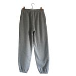 Aritzia  Sweatfleece Mega Fit Sweatpants Joggers Size XS Gray Gorpcore Y2K Skater Photo 4