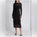 & Other Stories & Other Stories Long Sleeve Crinkle Mesh Midi Dress - Small - NWT Photo 1