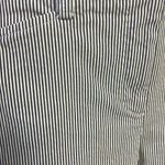 Lands' End Land’s End Blue and White Vertical Striped Fit 2 Cropped Cotton Blend Pants- Siz Photo 3