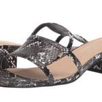 Coconuts by Matisse NEW  Luau  Snakeskin Cutout Heeled Sandal Slide Photo 1