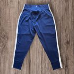 Free People #135 NWT Never Better Colorblock Joggers in Midnight Navy Photo 4