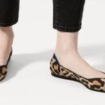 Rothy's  Big Cat Knit The Point Ballet Flats Casual Comfortable Size 9W preowned Photo 0