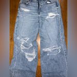 American Eagle  Strigid Baggy Wide Leg Jean Photo 1