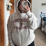 Champion Hoodie Photo 0