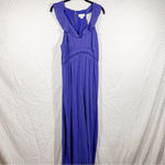 Anthropologie Maeve Blue Polka Dot Eyelet Jumpsuit Photo 2