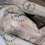 Myra Bag Canvas & Leather Crossbody Purse Bag Photo 9