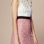 Sandro NWOT  two-tone lace dress with high neck Photo 0