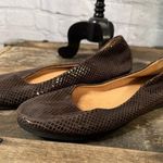 French Sole fs/ny Zeppa Leather Wedge in Chocolate Snake Print size 8.5 Brown Photo 2