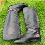 Vintage Italian Leather Equestrian Riding Boots Horse Emblem Tall Buckle 37 1/2 Black Size 6.5 Photo 0