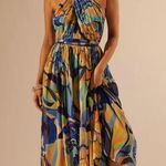 Anthropologie  Alexandra Farmer Printed Maxi Dress Photo 5