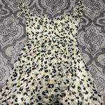 Francesca's Dress Photo 4