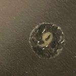 Wild Rose  cloth retro go go boots 70s inspired cosplay costume glitter black 9 Photo 8