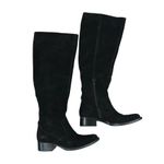 BORN Cricket Over Photo 1