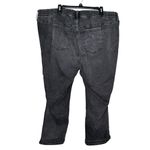 Torrid Women's Jeans Black Piping Elastic Waist High-Rise Straight Leg Denim 35 Photo 5