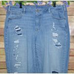 Lane Bryant Womens Plus 22 Light Wash Distressed Boyfriend Blue Jeans Stretch Photo 1