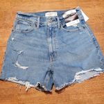 Abercrombie & Fitch Shorts Photo 0