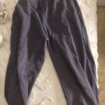 Brandy Melville Navy Blue  Sweatpants Photo 0