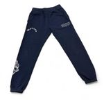 Darc Sport Wolves Sweatpants Joggers SHE BUNDLE SET Both S Navy Blue and Green Photo 1