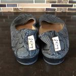 FS/NY French Sole‎ fslny slight wedge made in Italy women’s size 6 snake print Black Photo 4