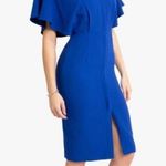 Black Halo . Holland Flutter-sleeve Button-down Midi Dress. Photo 0