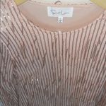 Champagne Pink Sequin Fringe Long Sleeve Mini Party Dress Size L Photo 2