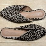 Madewell  The Emilia Mule in Dotted Calf Hair Sz 6.5 Photo 1
