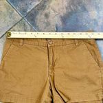 Patagonia  Brown Rust Chino Shorts 2 Photo 1