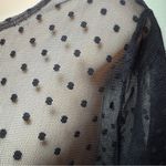 Black mesh tulle ballet core polka dot sheer slip midi Lola Dress Lace Large Photo 1