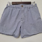 Chubbies  Classic Seersucker Striped Chino Shorts Women's Size Medium Blue White Photo 0