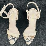 Miss Lola Nude/Snake Heels Photo 5