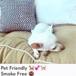 Wildfox 💋🦊  Cindy Sports bra Crepe Chevron- leggings sold separately Photo 5