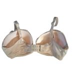 Chantelle  Size 34DDD Festivite Lace Plunge Bra Beige Photo 3