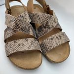 Clarks Artisan Perri Dunes Taupe Snake Leather Criss Cross Sandals Women's 8.5M Photo 0
