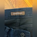 James Jeans  Twiggy Micro Flare Photo 2
