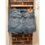 Brock Collection X H&M Denim Shorts Photo 4