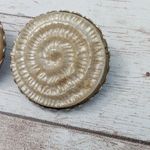 Vintage Clip On Earrings Large Beige Spiral 1 & 1/8" Photo 3