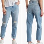 Current/Elliott  Rainfall Boyfriend Distressed Slouchy Preppy Coastal Jeans 24 Photo 1