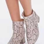 Snakeskin Booties Size 10 Photo 0