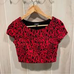 EXPRESS Cute lipstick π leopard textured crop top whimsigoth glam club stretch Photo 6