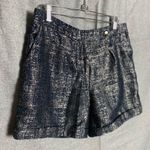 Anthropologie Coquille High Rise Shorts Navy and Pale Gold Shimmer Size 8 Photo 2