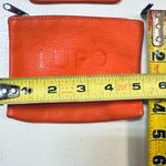 Lupo orange two Photo 3