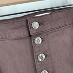 Pistola Jeans SZ 20W Java Brown High Rise Ankle Skinny NWT Button Fly Plus Curvy Photo 8