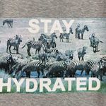 Aerie Offline Small Stay Hydrated Zebra Animal Graphic High Neck Crop Tank Top Photo 2