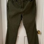 Belle by Kim Gravel Olive Green Stretch Straight Leg Jeans 38W X 28L Plus 18W Photo 0