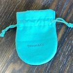 Tiffany & Co. Turquoise Jewelry Pouch Photo 0