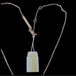 Michael Kors Rose Gold Pendant Necklace w/ CZ 18-20” Adjustable length NWT Photo 1