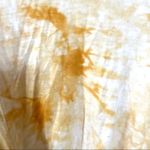 Heart and Hips yellow short sleeve tie front top Photo 11