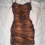 Princess Polly Animal Print Leopard Print Tiger Print mesh Cowl Neck Mini Dress Photo 2