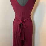 13. Blaine Burgundy Jumpsuit with Plunging V Photo 6